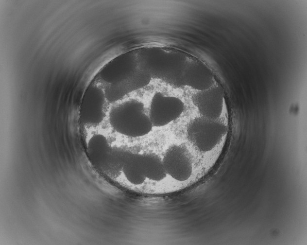 X0000114191186200911200929