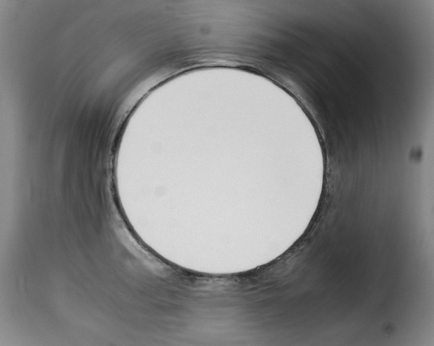 X0000114191187200911200929