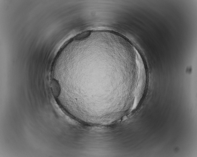 X0000114191189200911200929