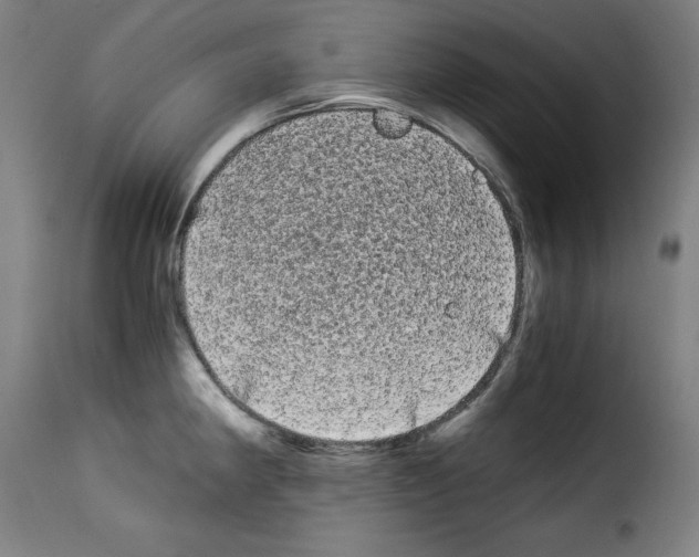 X0000114191190200911200929