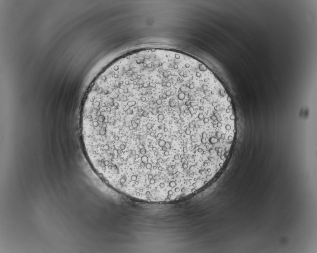 X0000114191192200911200929