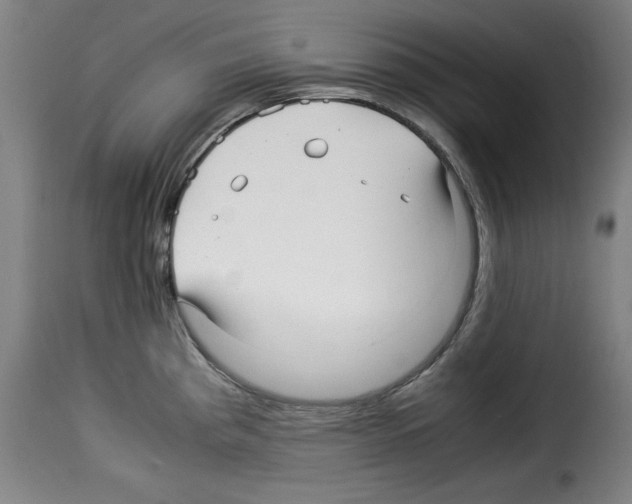 X0000114191193200911200929