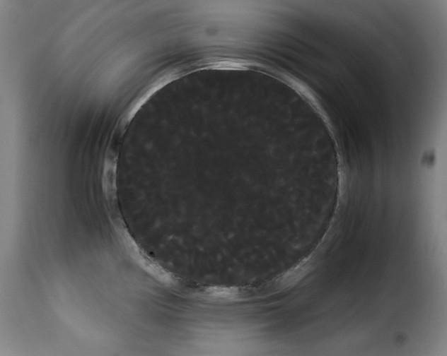 X0000114191194200911200929