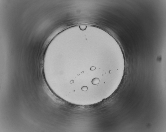 X0000114191195200911200929