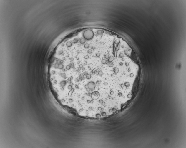 X0000114191196200911200929