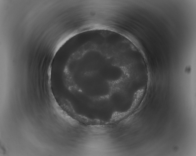 X0000114191198200911200929