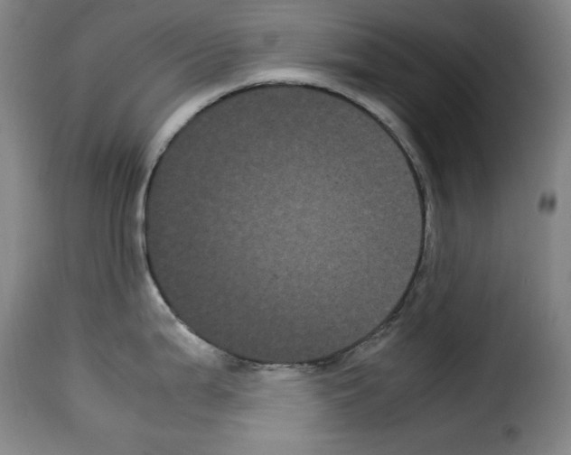 X0000114191199200911200929