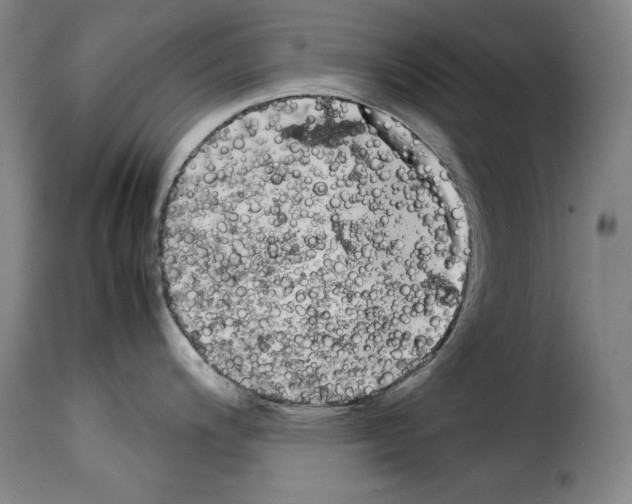 X0000114191200200911200929