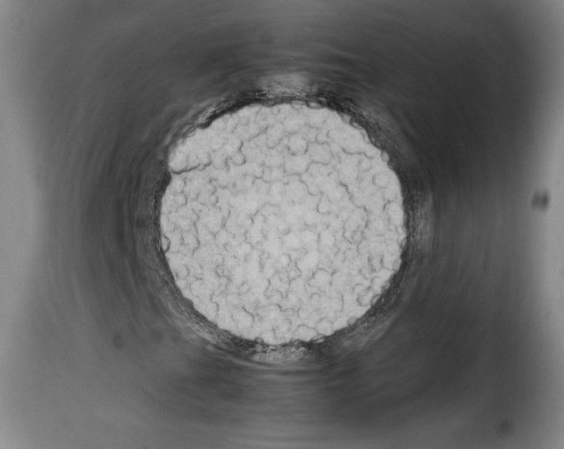 X0000114191201200911200928