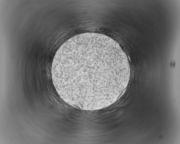 X0000114191202200911200928