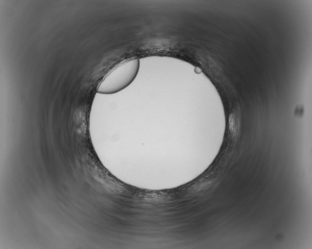 X0000114191203200911200928