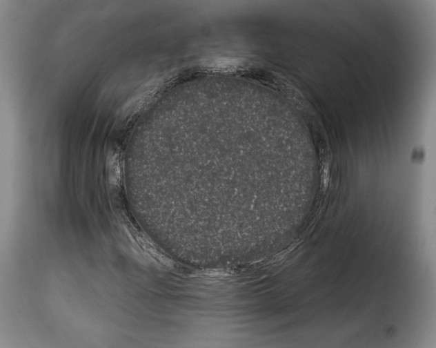 X0000114191204200911200928