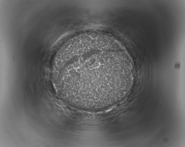 X0000114191206200911200928