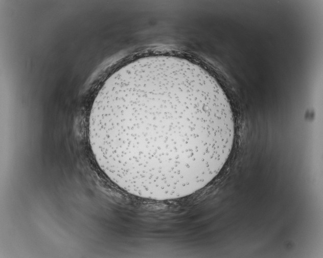 X0000114191207200911200928