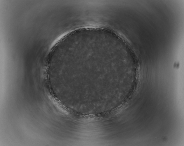 X0000114191208200911200928