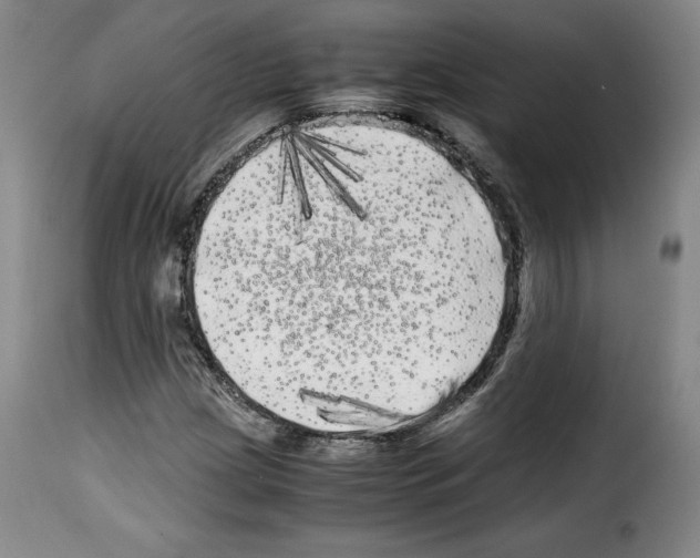 X0000114191209200911200928