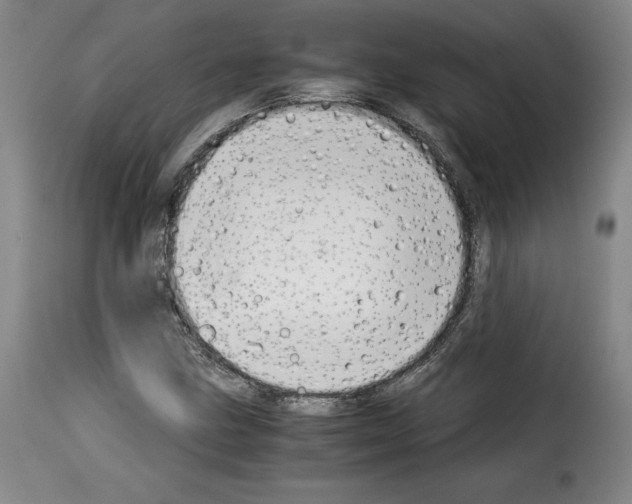 X0000114191211200911200928