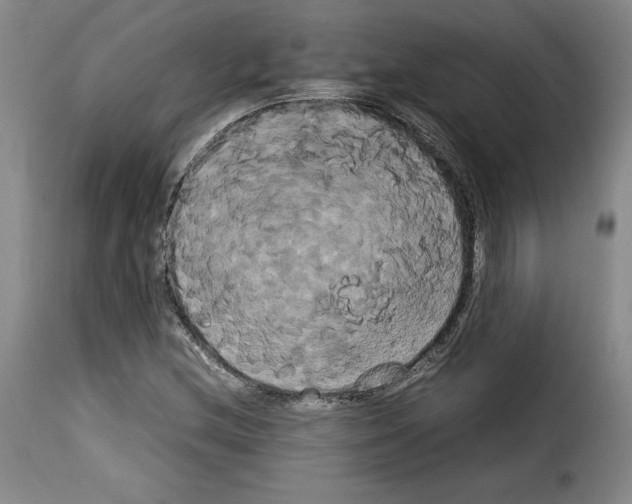 X0000114191212200911200929