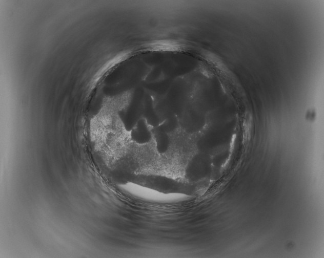 X0000114191213200911200929