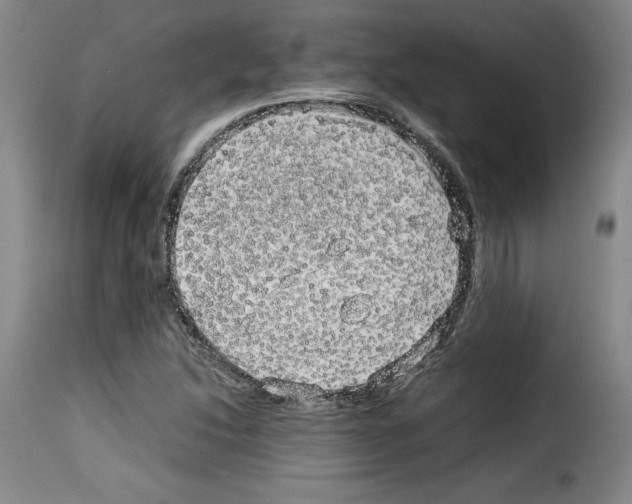 X0000114191214200911200929