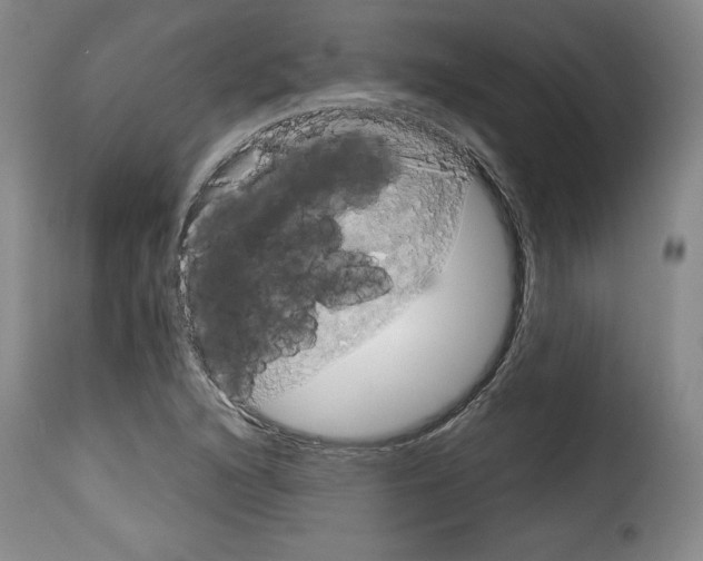 X0000114191216200911200929