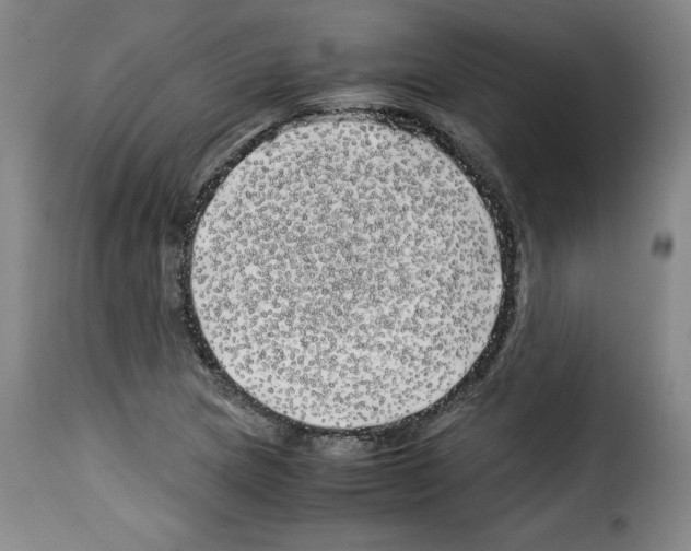 X0000114191217200911200929