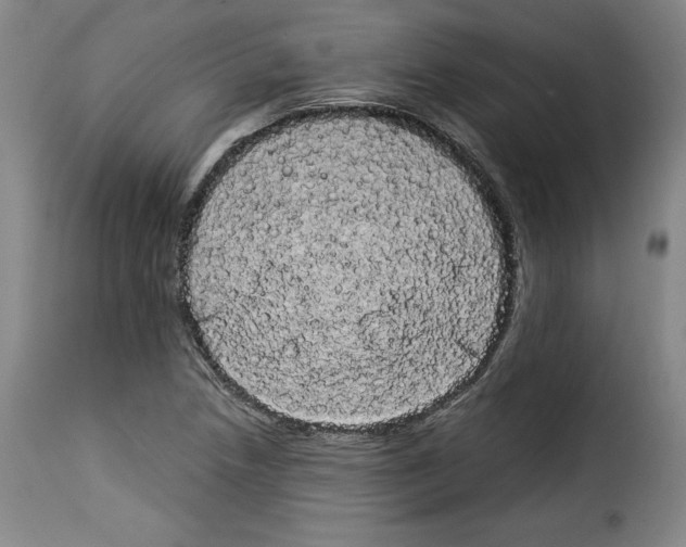 X0000114191218200911200929