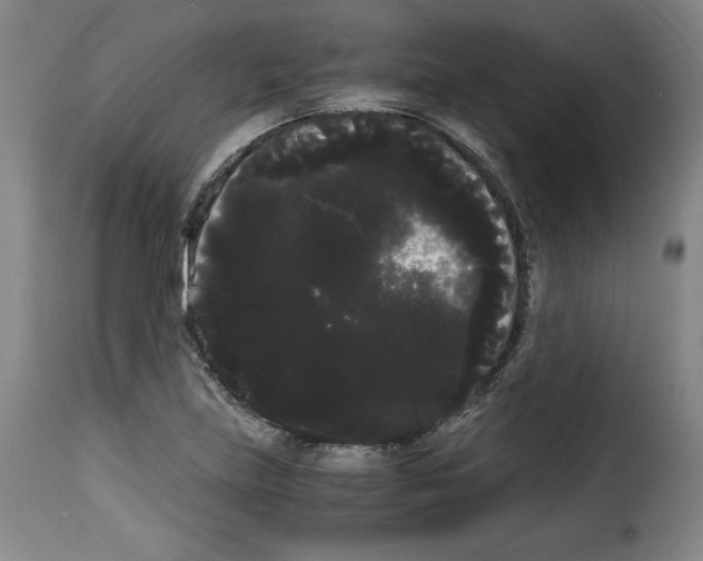 X0000114191219200911200929