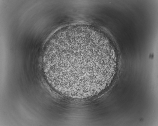 X0000114191220200911200929