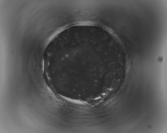 X0000114191221200911200929