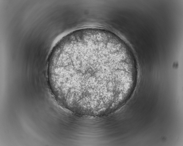 X0000114191222200911200929