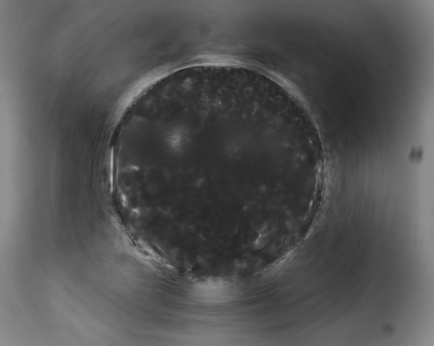 X0000114191223200911200929