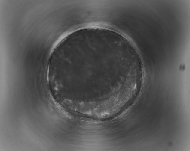 X0000114191224200911200929