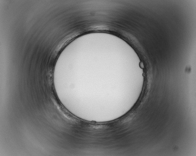 X0000114191225200911200929