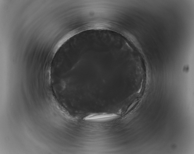 X0000114191226200911200929