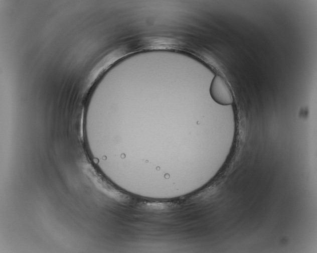 X0000114191227200911200929