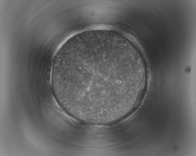 X0000114191228200911200929