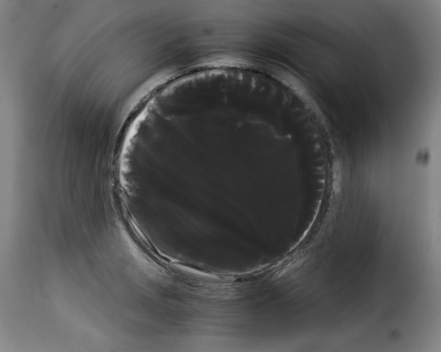 X0000114191229200911200929