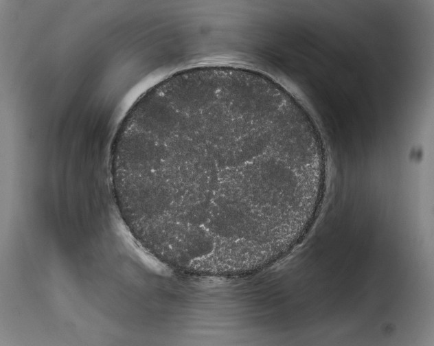 X0000114191230200911200929