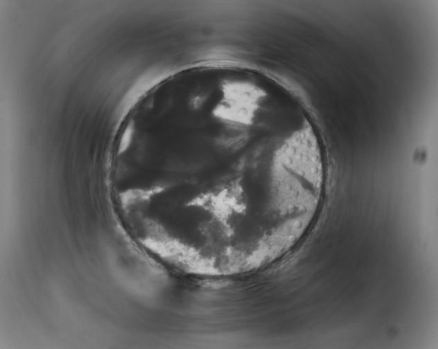 X0000114191231200911200929