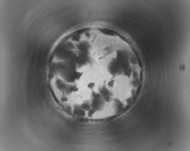 X0000114191232200911200929