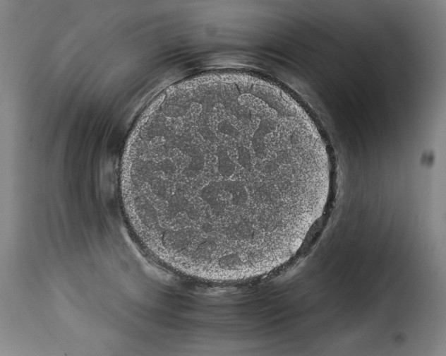 X0000114191233200911200929