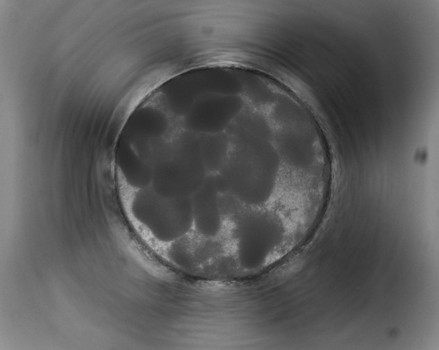 X0000114191234200911200929