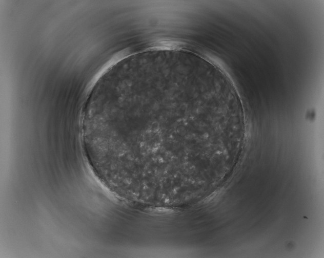 X0000114191235200911200929