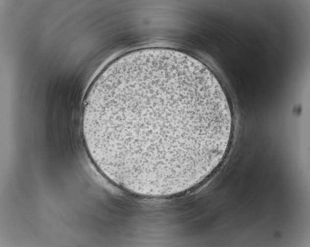 X0000114191236200911200929