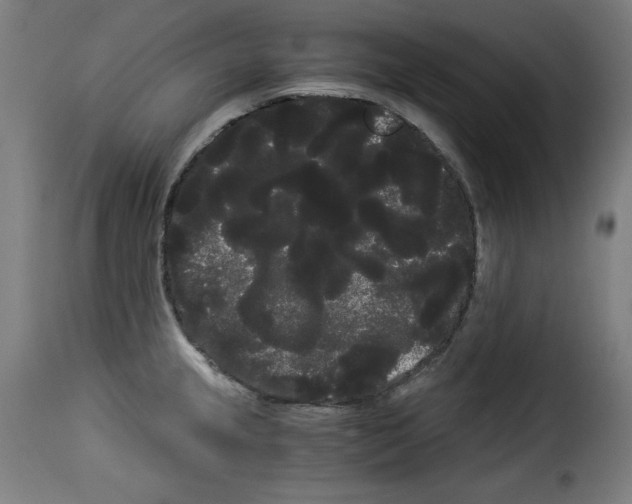 X0000114191237200911200929