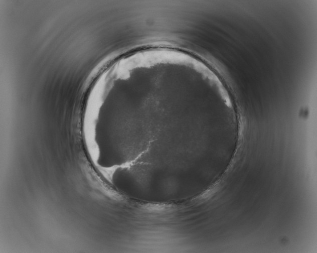 X0000114191240200911200929