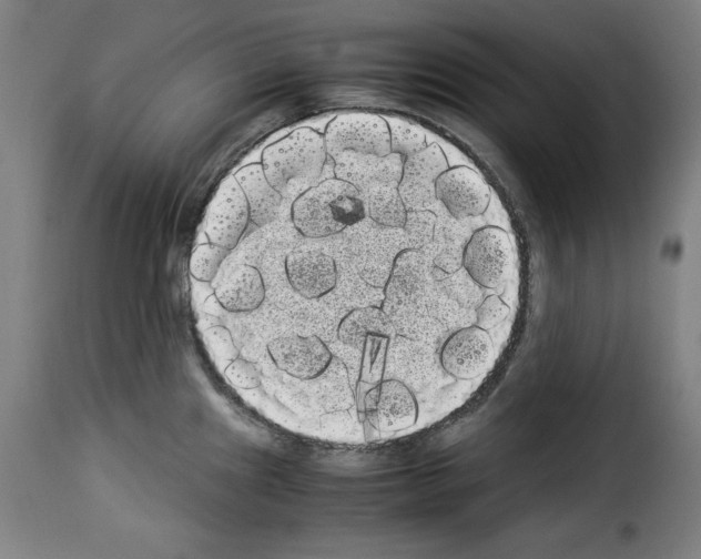 X0000114191241200911200929