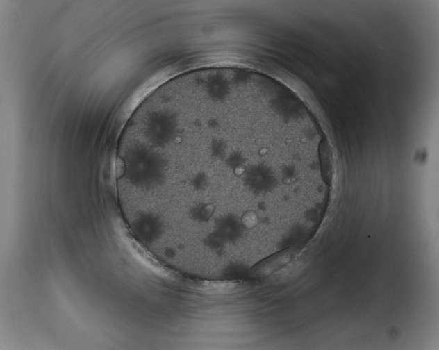 X0000114191242200911200929