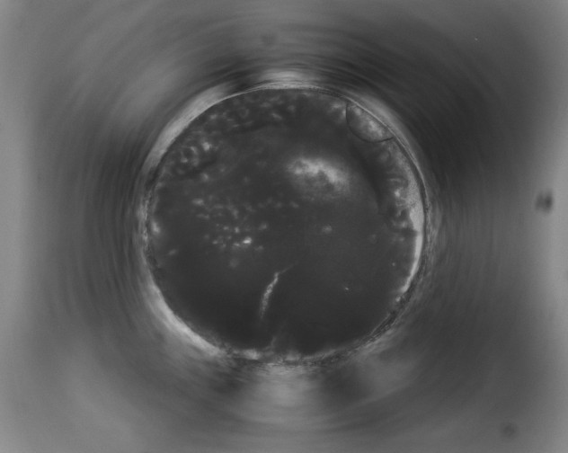 X0000114191243200911200929